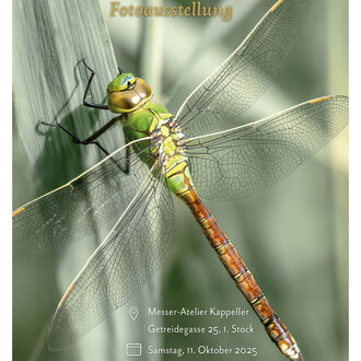 Flyer Seite1